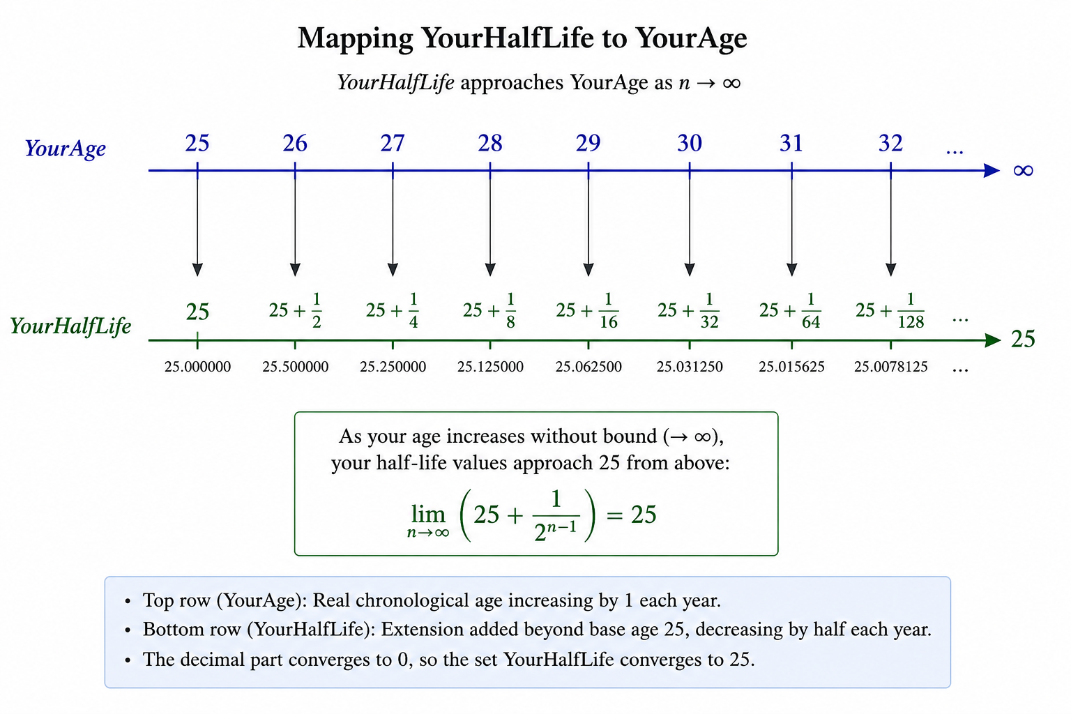 Diagram showing YourHalfLife values approaching the base YourAge value of 25 as chronological age increases.